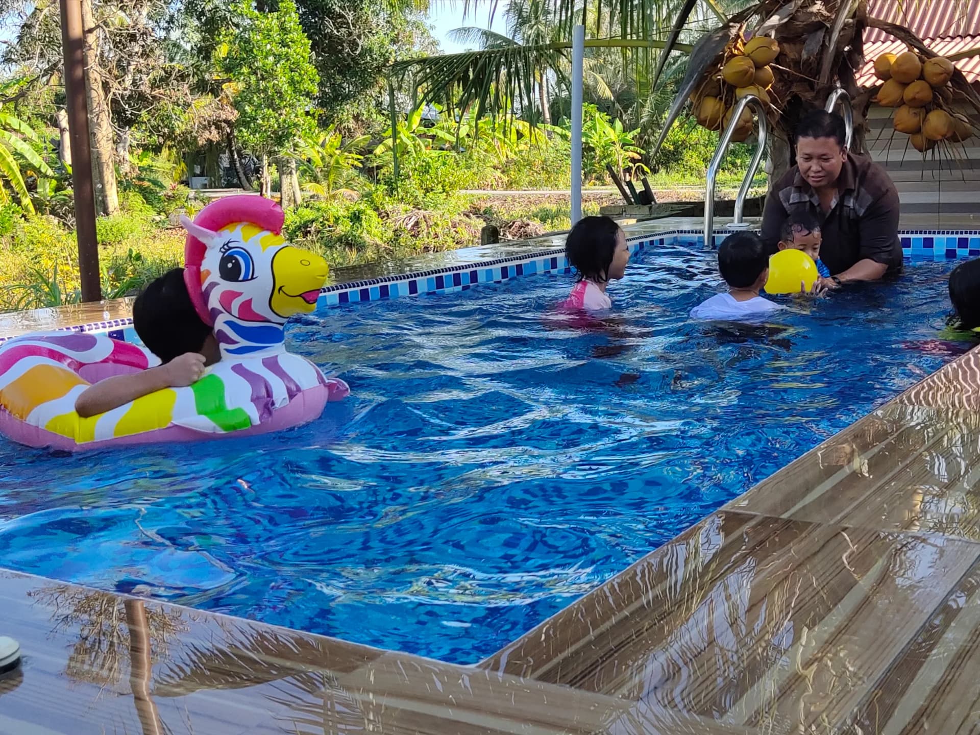 Swimming Pool — photo 1