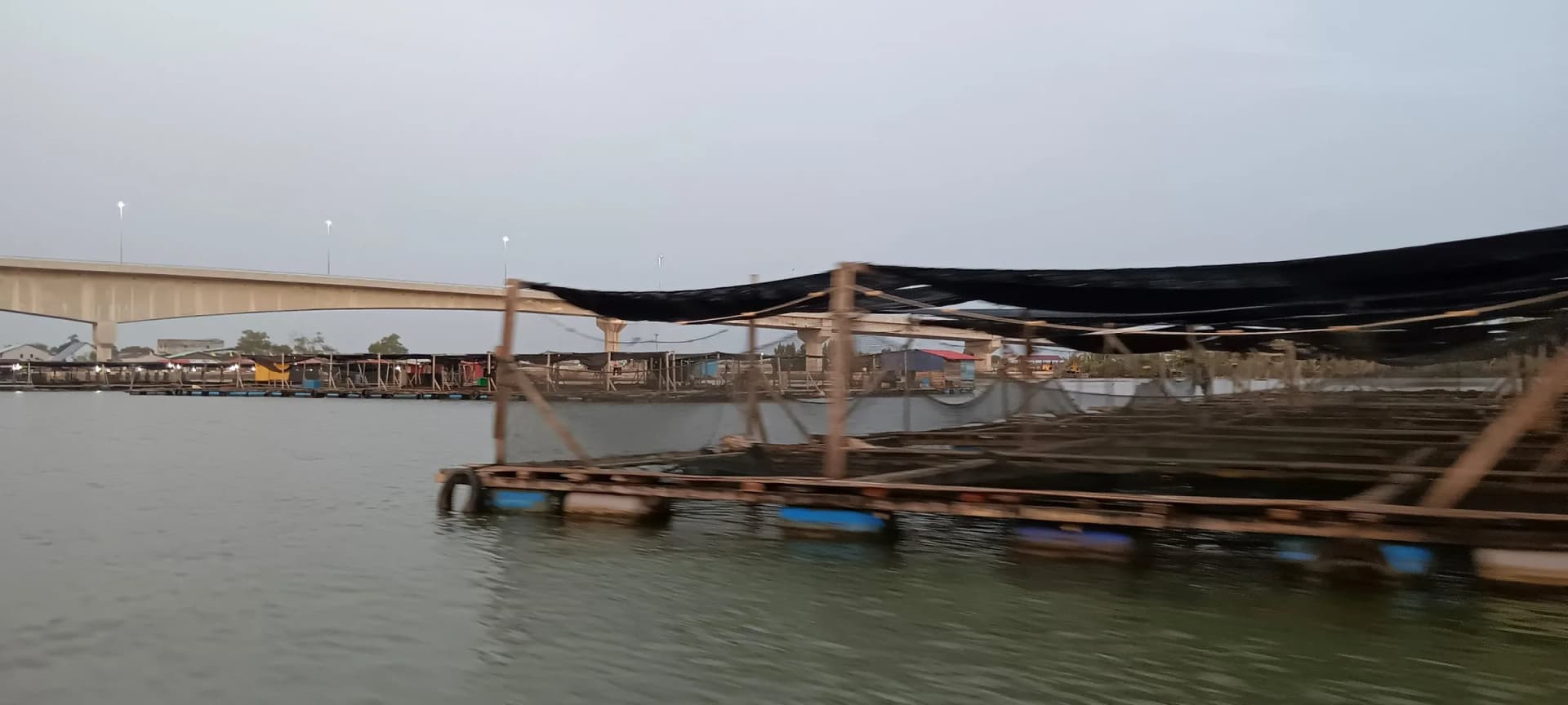 River Cruise — photo 3