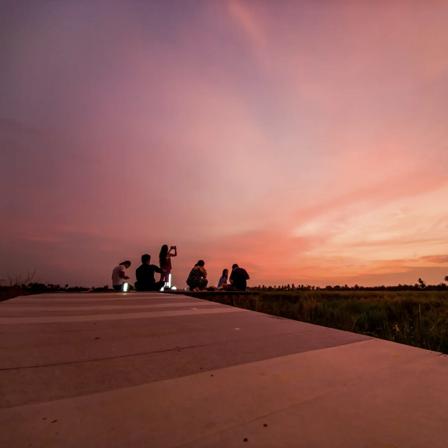 The Charm of the Rice Fields — photo 1