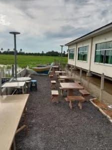 The Charm of the Rice Fields — photo 1