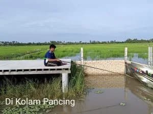 The Charm of the Rice Fields — photo 3