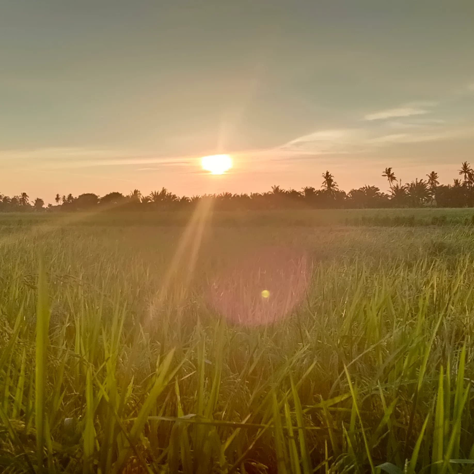 Matahari Terbenam — photo 1