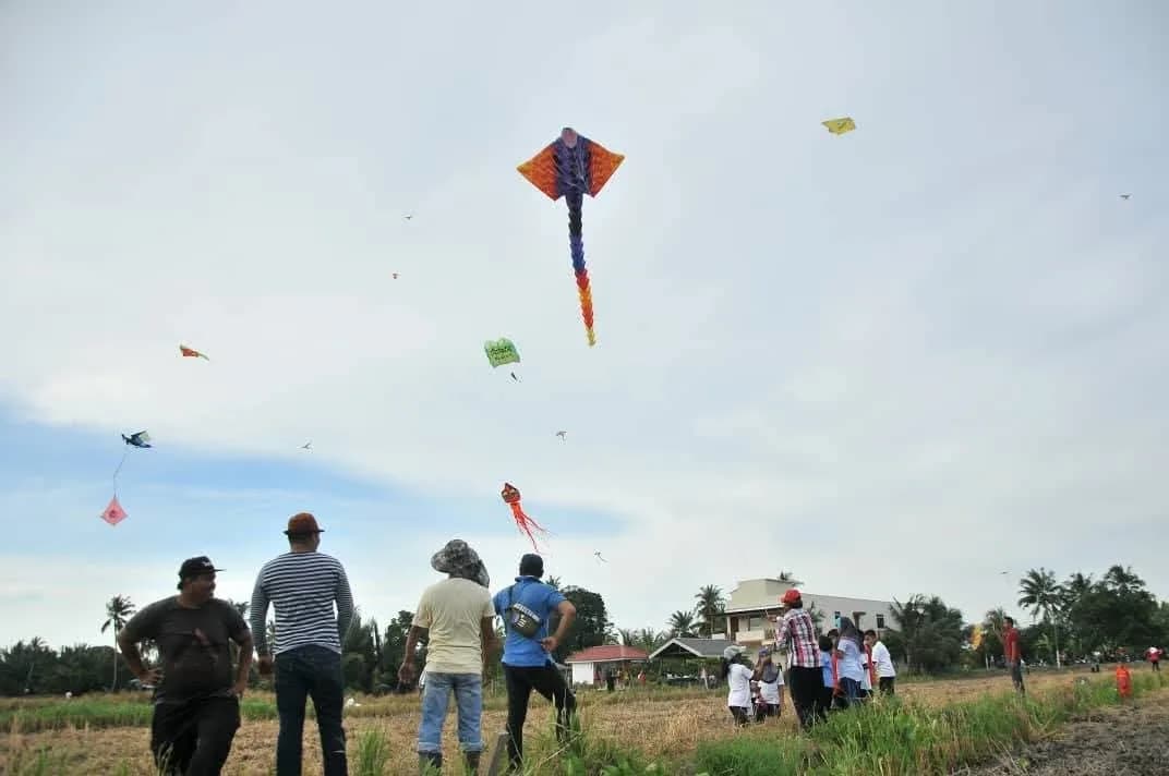 Pesona Sawah — slide 12