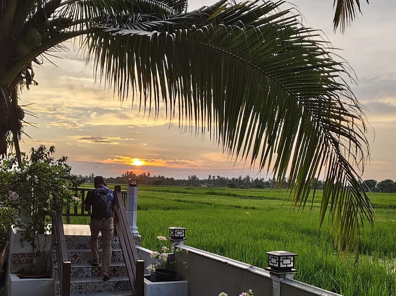 Pesona Sawah