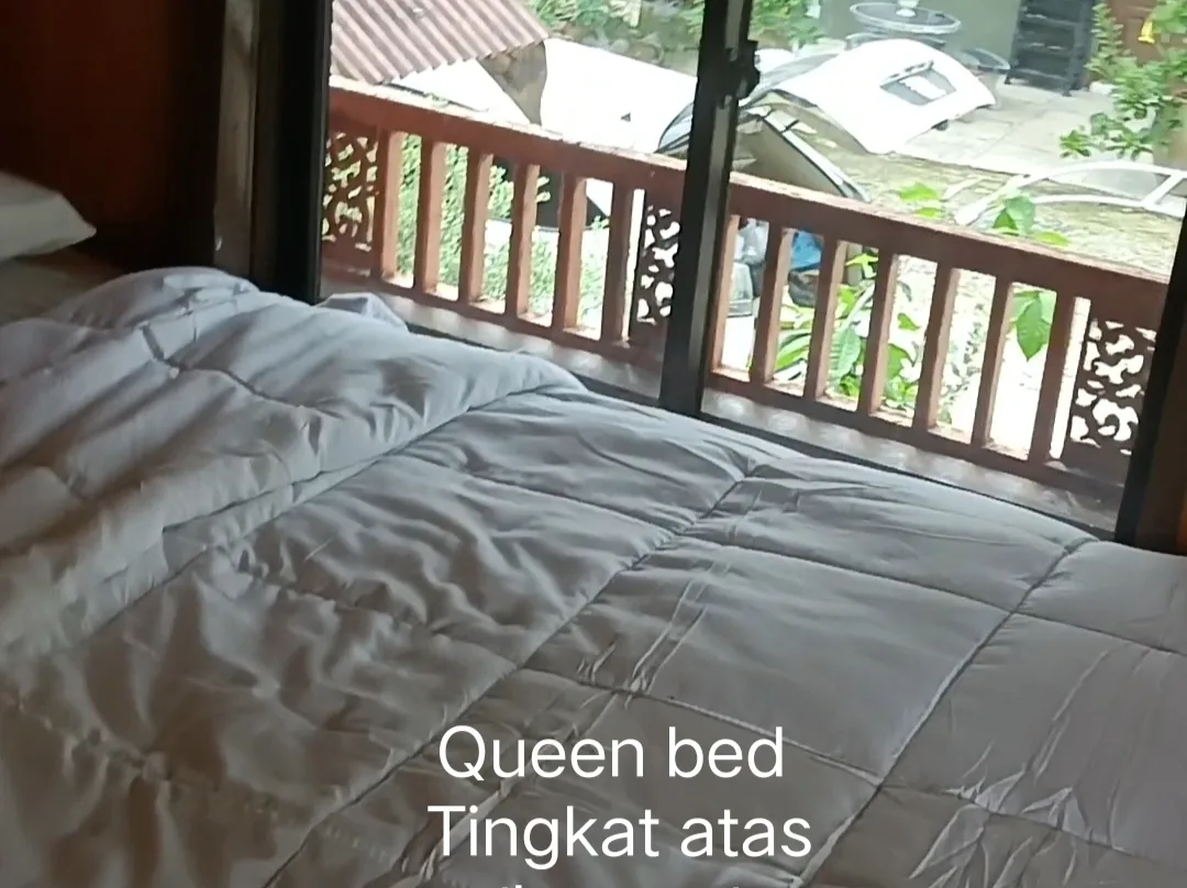 Dangau 3